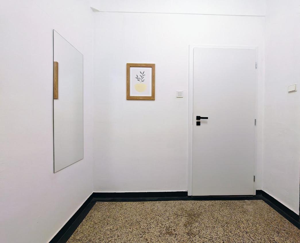 Zizkov Studio -004- Πράγα Εξωτερικό φωτογραφία